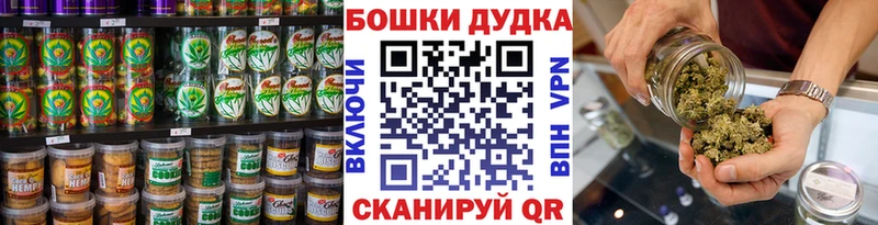 Canna-Cookies марихуана  kraken зеркало  мориарти как зайти  Магас 