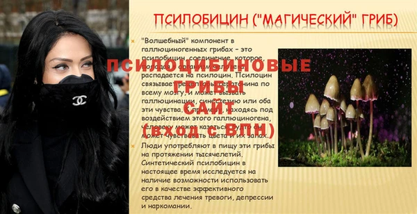 винт Елабуга
