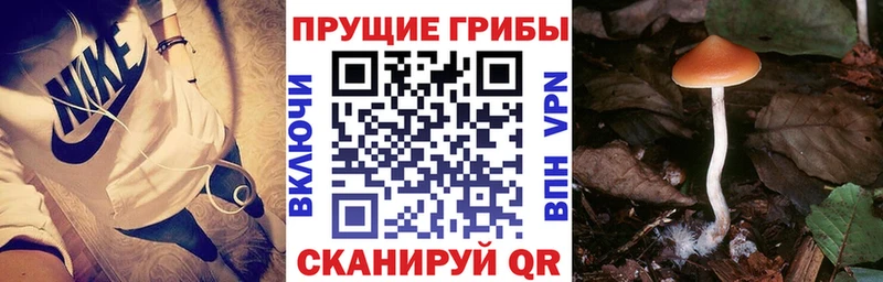 Псилоцибиновые грибы MAGIC MUSHROOMS Магас